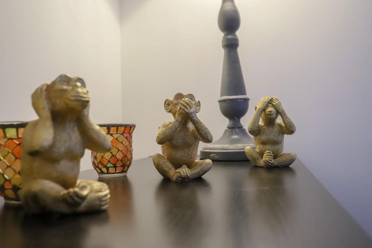 Le Hippie-chic, Hyper Centre Appartement Annecy